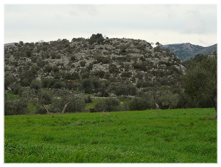 Le Steppe del Gargano